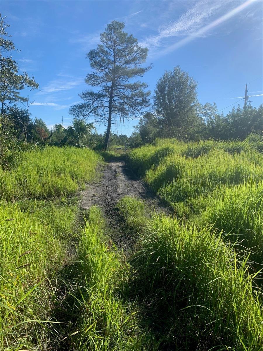 Photo of Listing #TB8437000