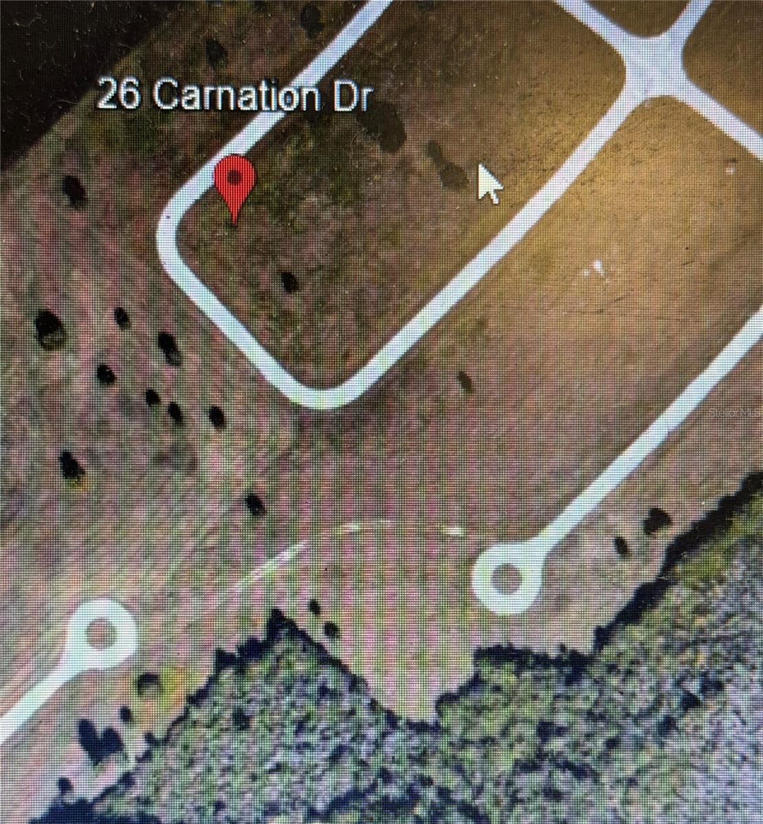 Photo of Listing #TB8438150