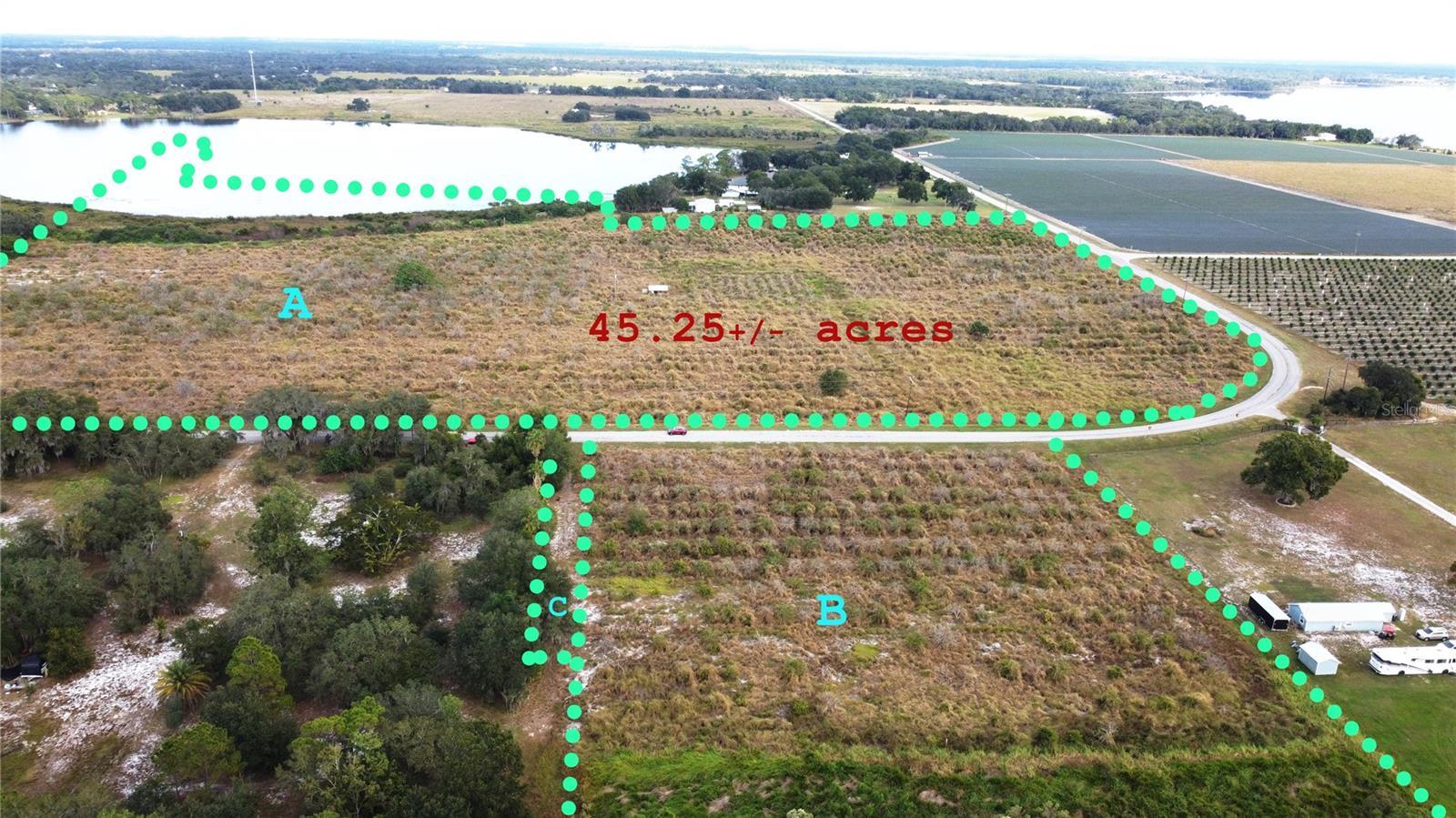 Photo of Listing #TB8442201