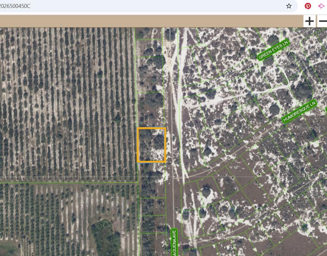 Photo of Listing #TB8449715