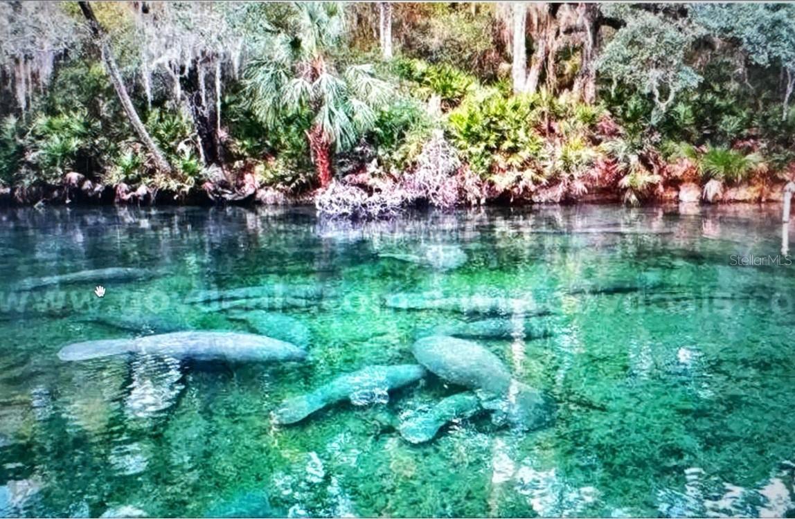 Photo of Listing #TB8455077