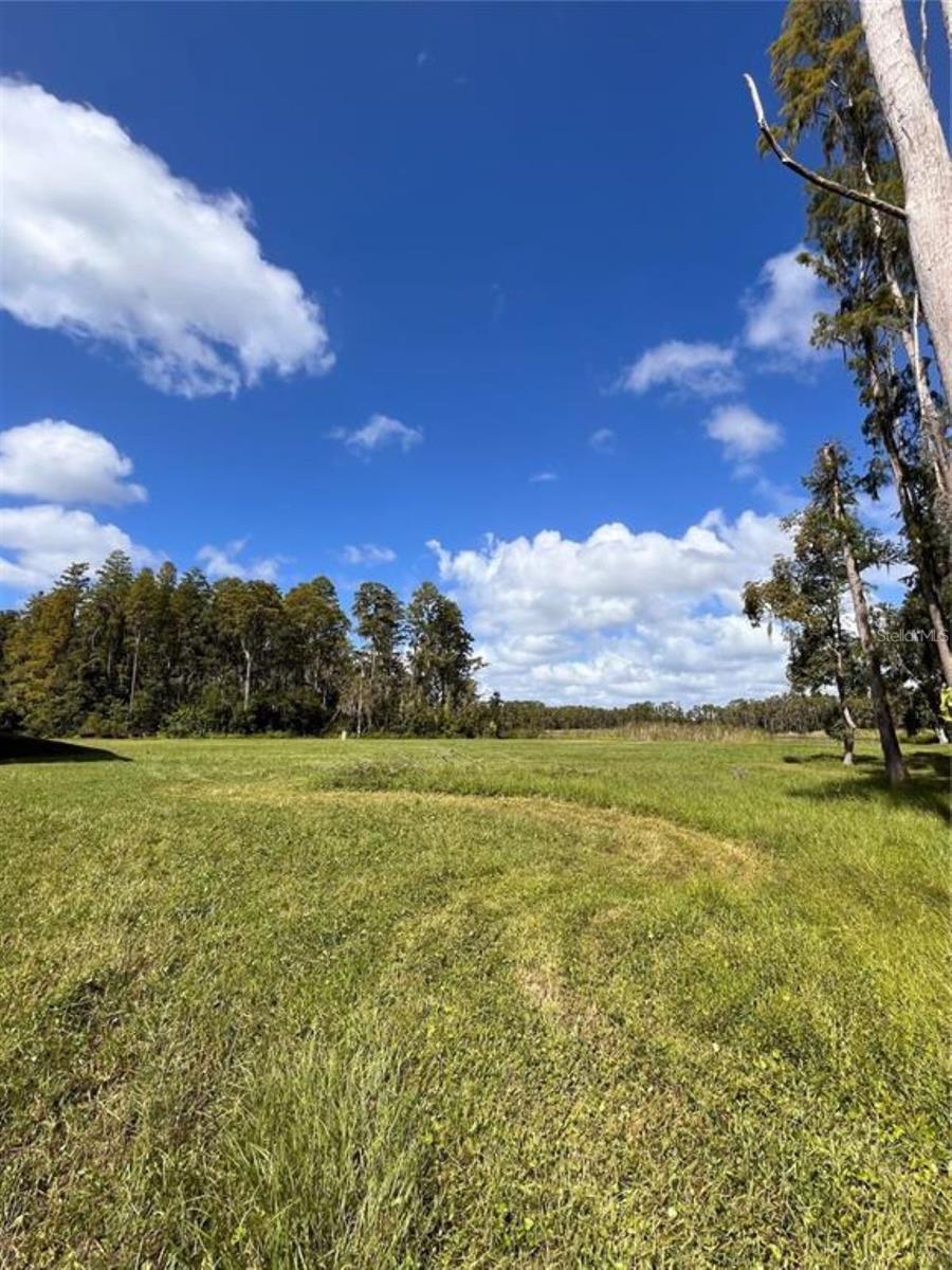 Photo of Listing #TB8460037