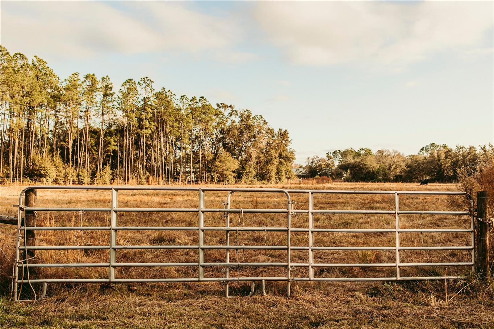 Photo of Listing #TB8462727