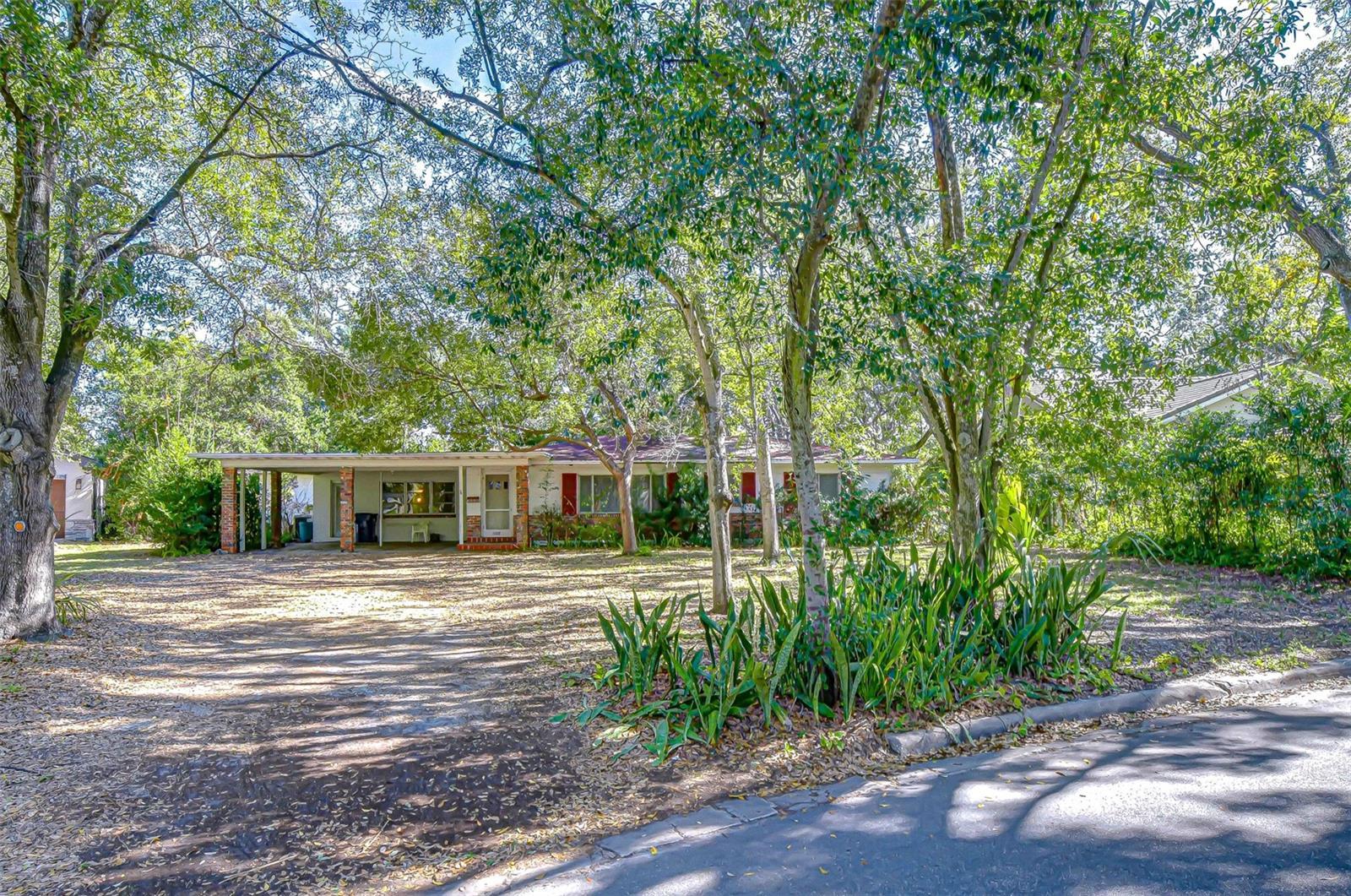 Photo of Listing #TB8464393