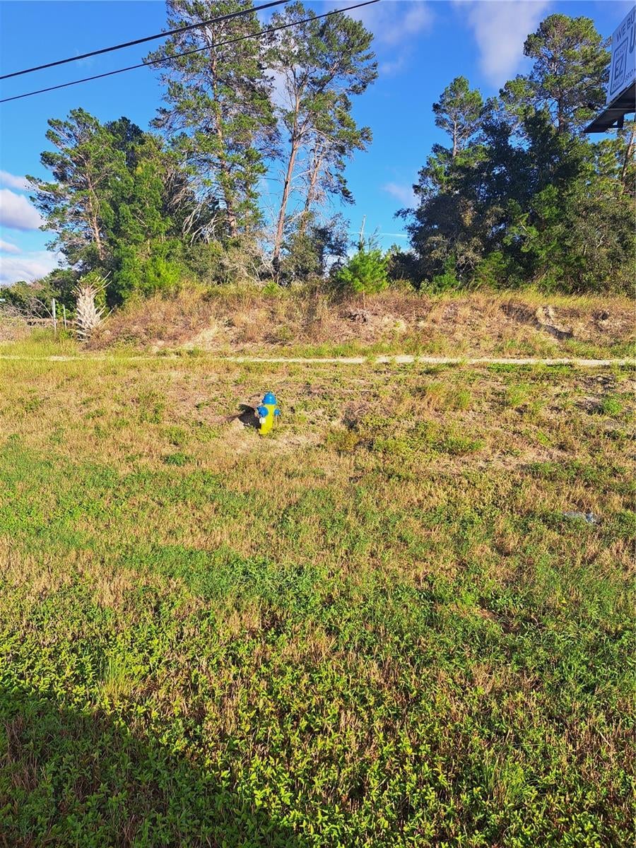 Photo of Listing #TB8464509