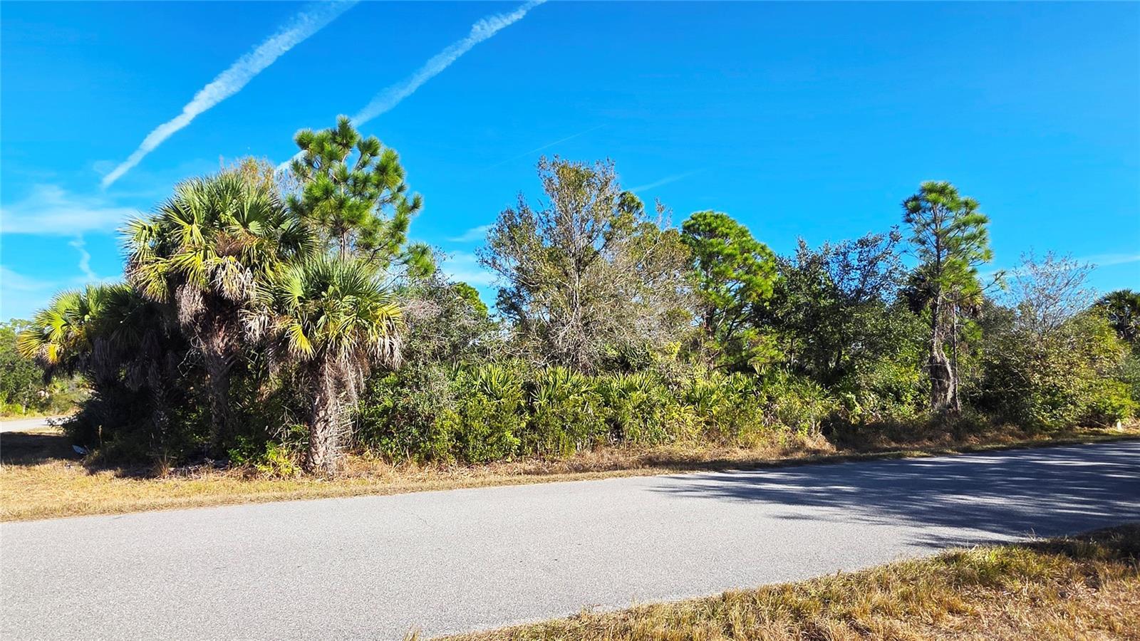 Photo of Listing #TB8465902