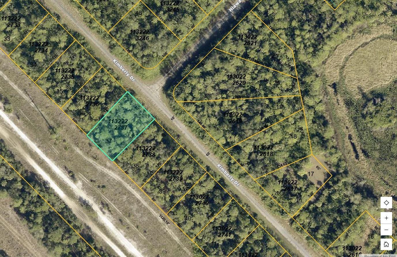 Photo of Listing #TB8466715