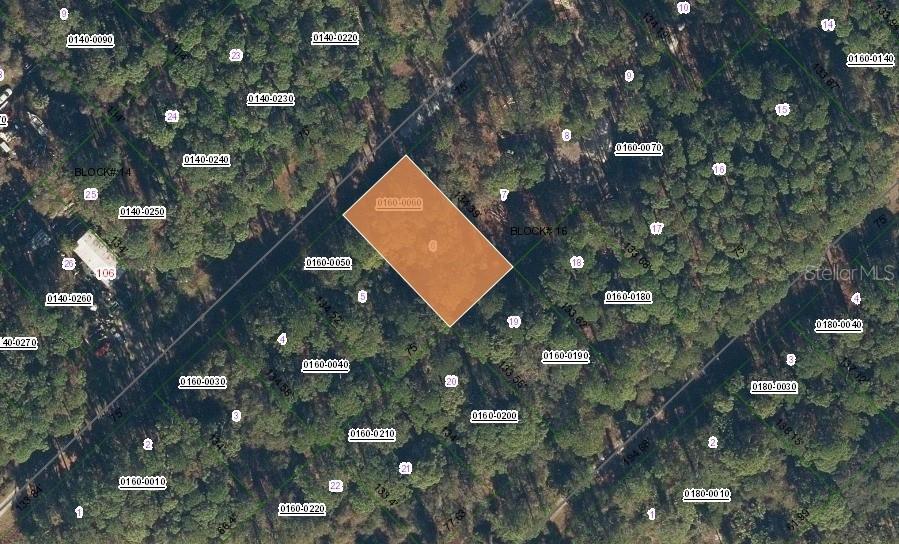 Photo of Listing #TB8467443