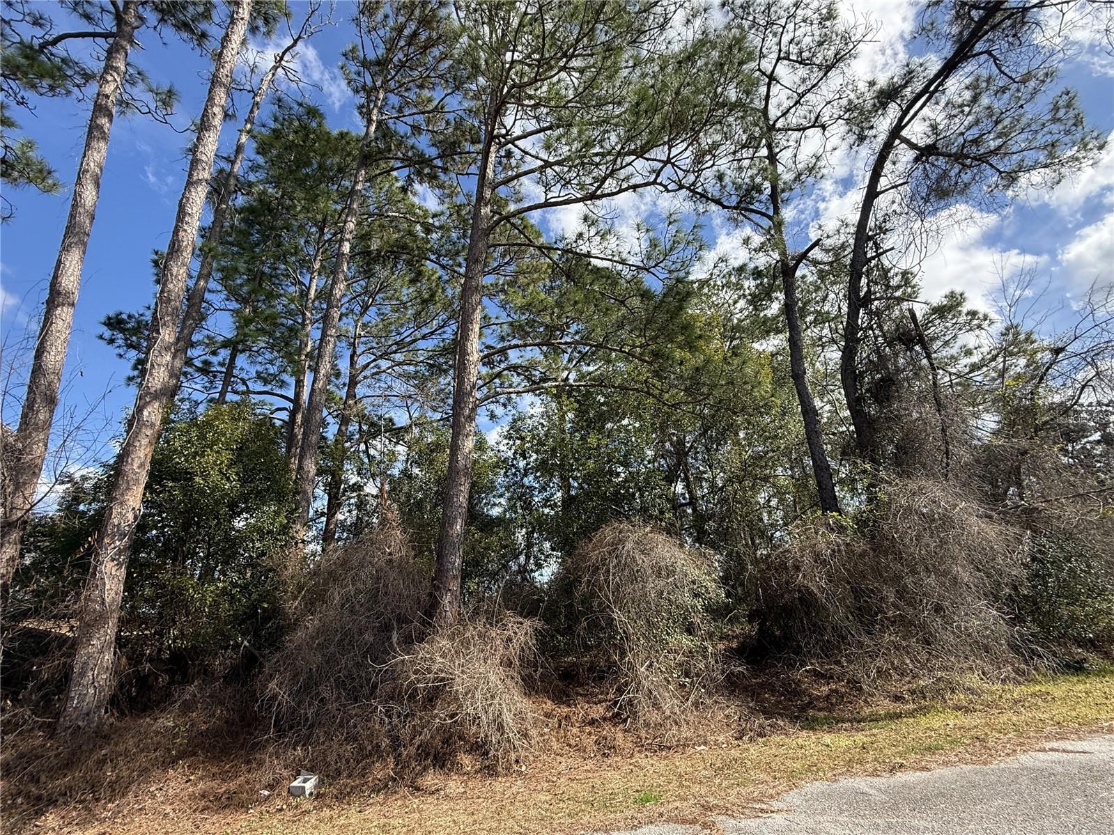 Photo of Listing #TB8468740