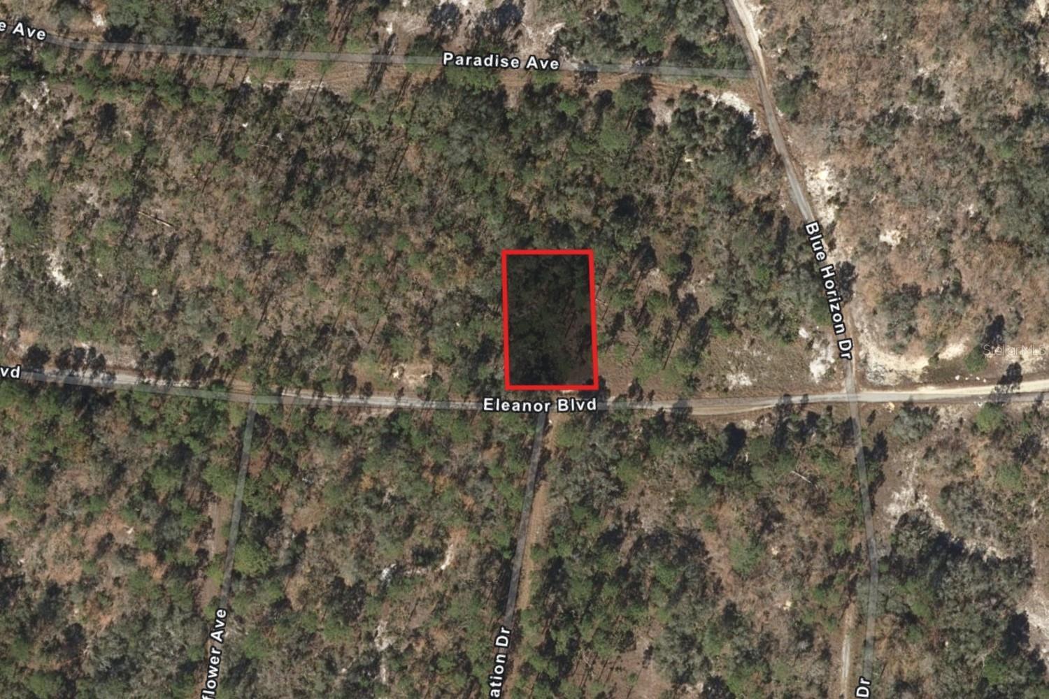 Photo of Listing #TB8469731