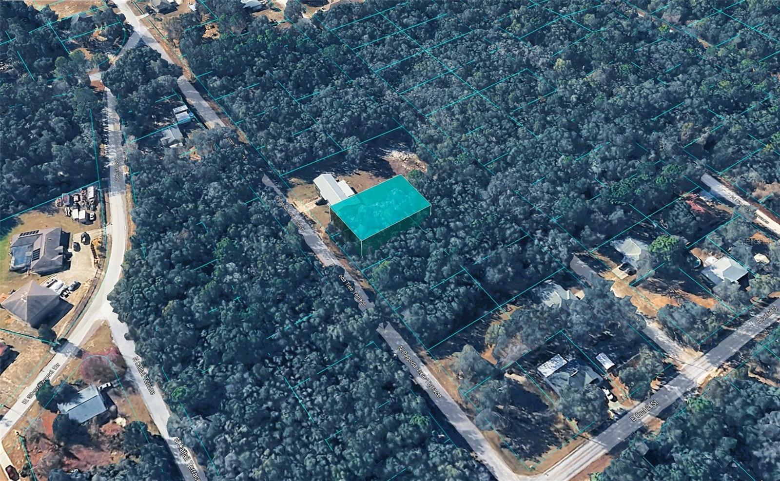 Photo of Listing #TB8471477