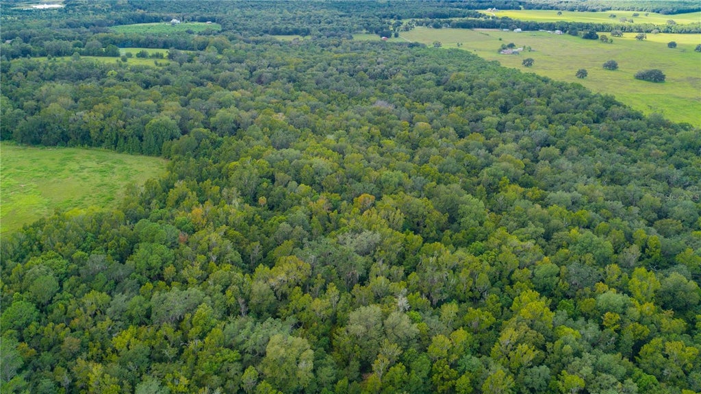 Snow Hill Road, BROOKSVILLE FL BROOKSVILLE Lots/Land Homes For Sale