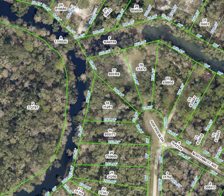 0 Riverview Drive, WEBSTER FL WEBSTER Lots/Land Homes For Sale