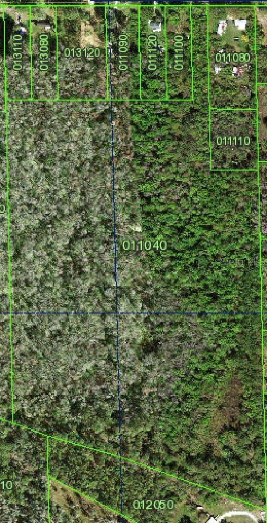 9431 Tom Costine Rd, LAKELAND . MLS U8249859