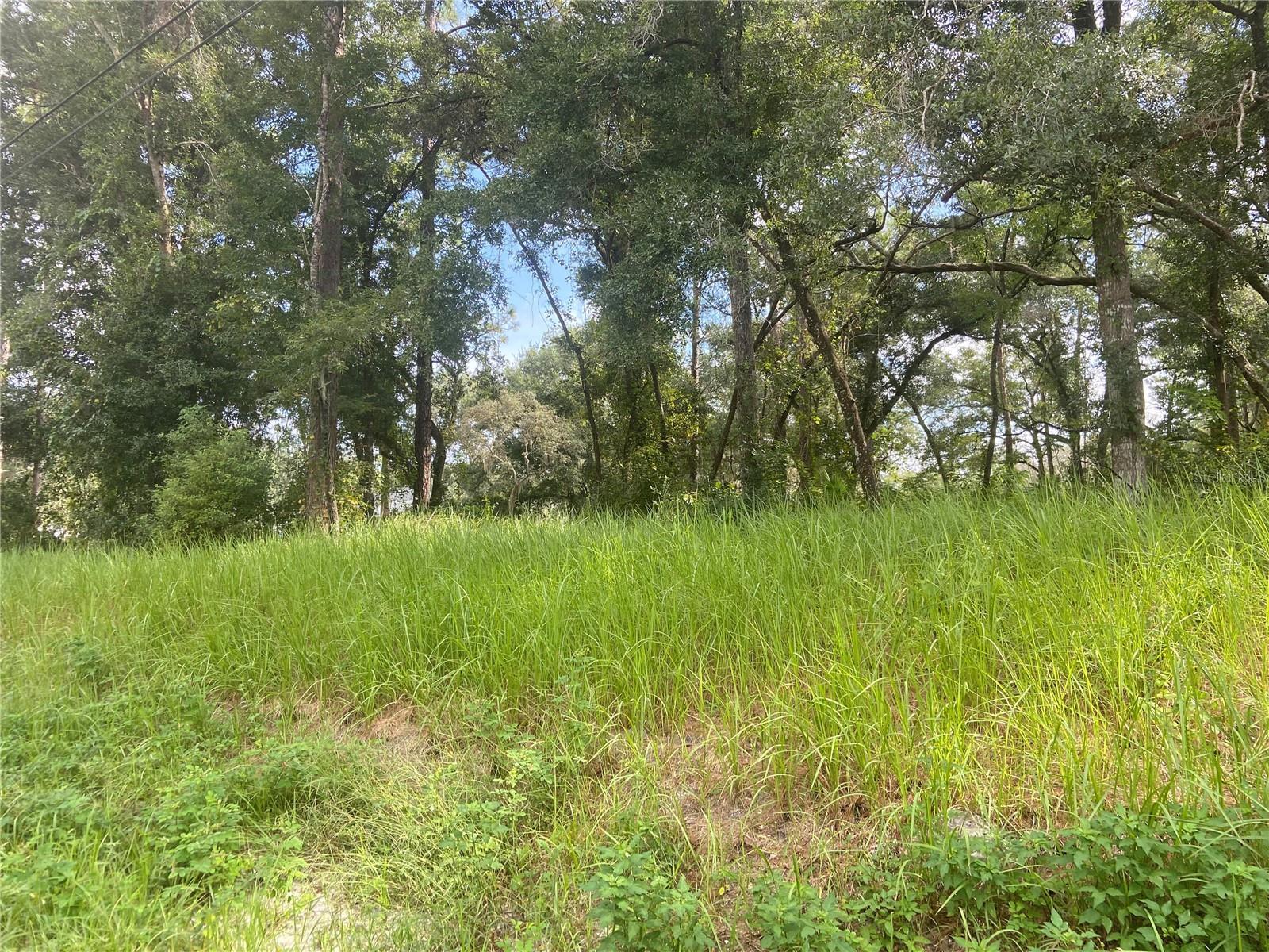 Photo of Listing #V4938776