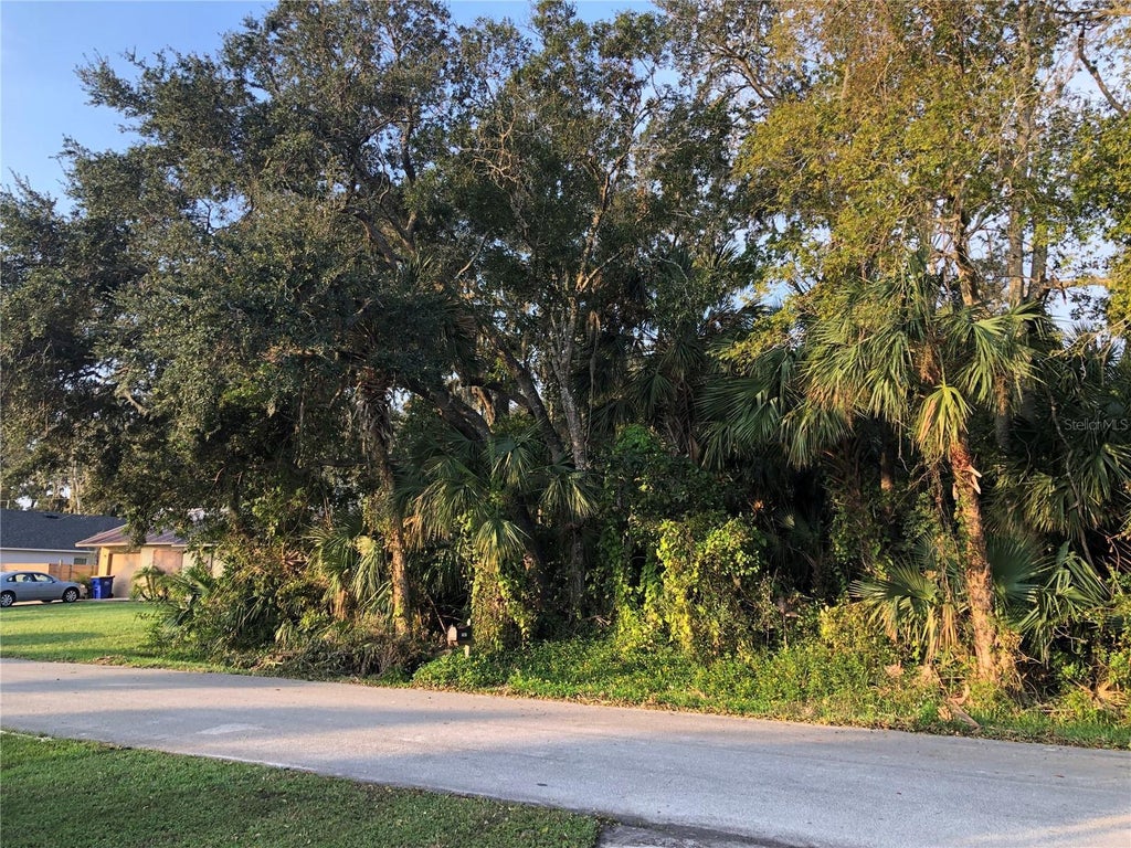 Queen Palm Drive, EDGEWATER FL EDGEWATER Lots/Land Homes For Sale