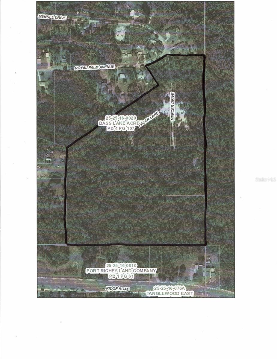 Photo of Listing #W7858646