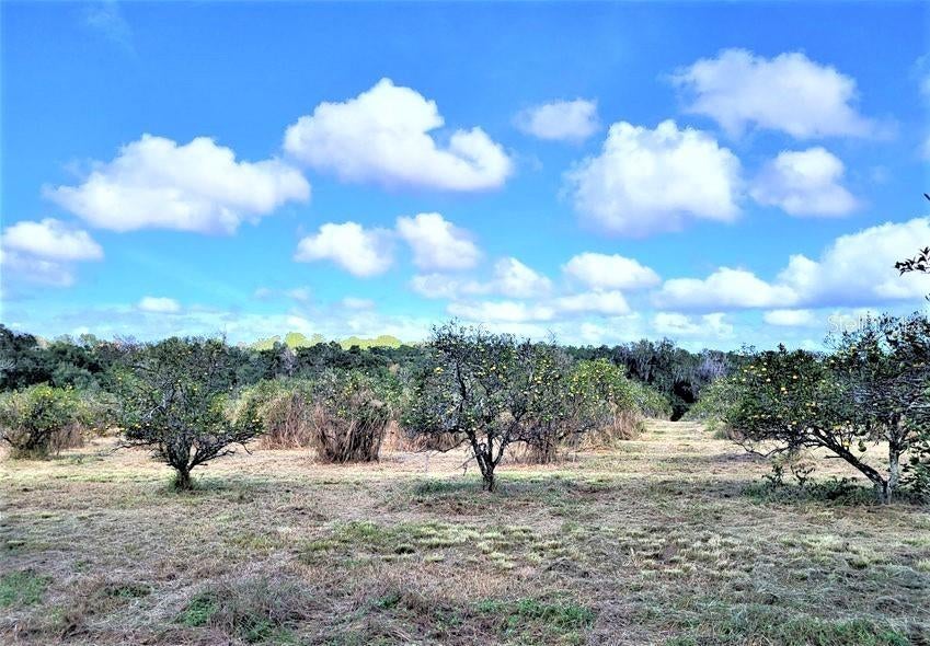 Photo of Listing #W7863014