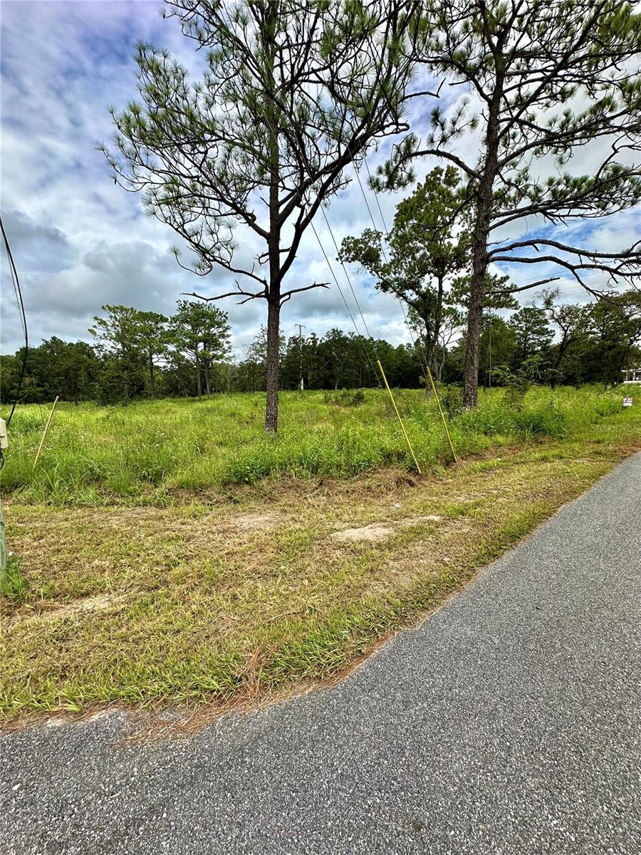 Marvelwood Road, BROOKSVILLE FL BROOKSVILLE Lots/Land Homes For Sale