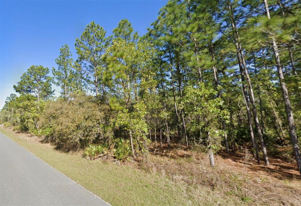 11095 Wood Owl Avenue, WEEKI WACHEE FL WEEKI WACHEE Lots/Land Homes