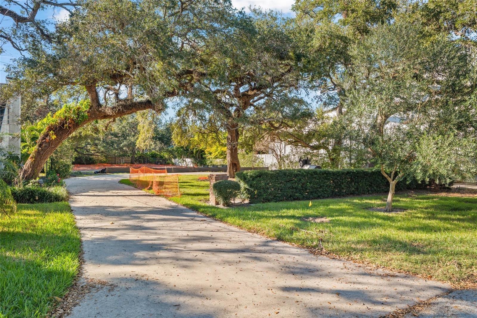 Photo of Listing #W7871457