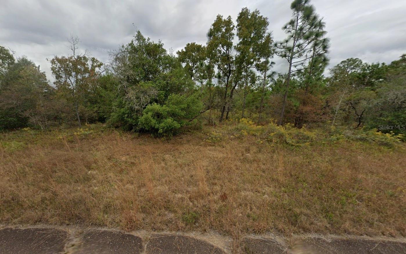 Photo of Listing #W7872861