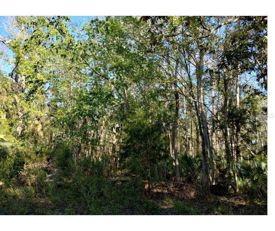 Photo of Listing #W7873429