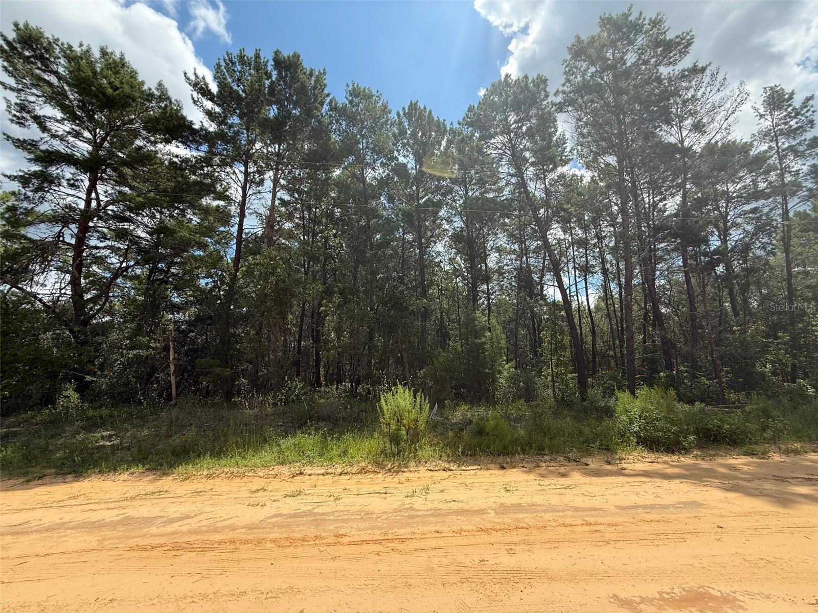 Photo of Listing #W7878208