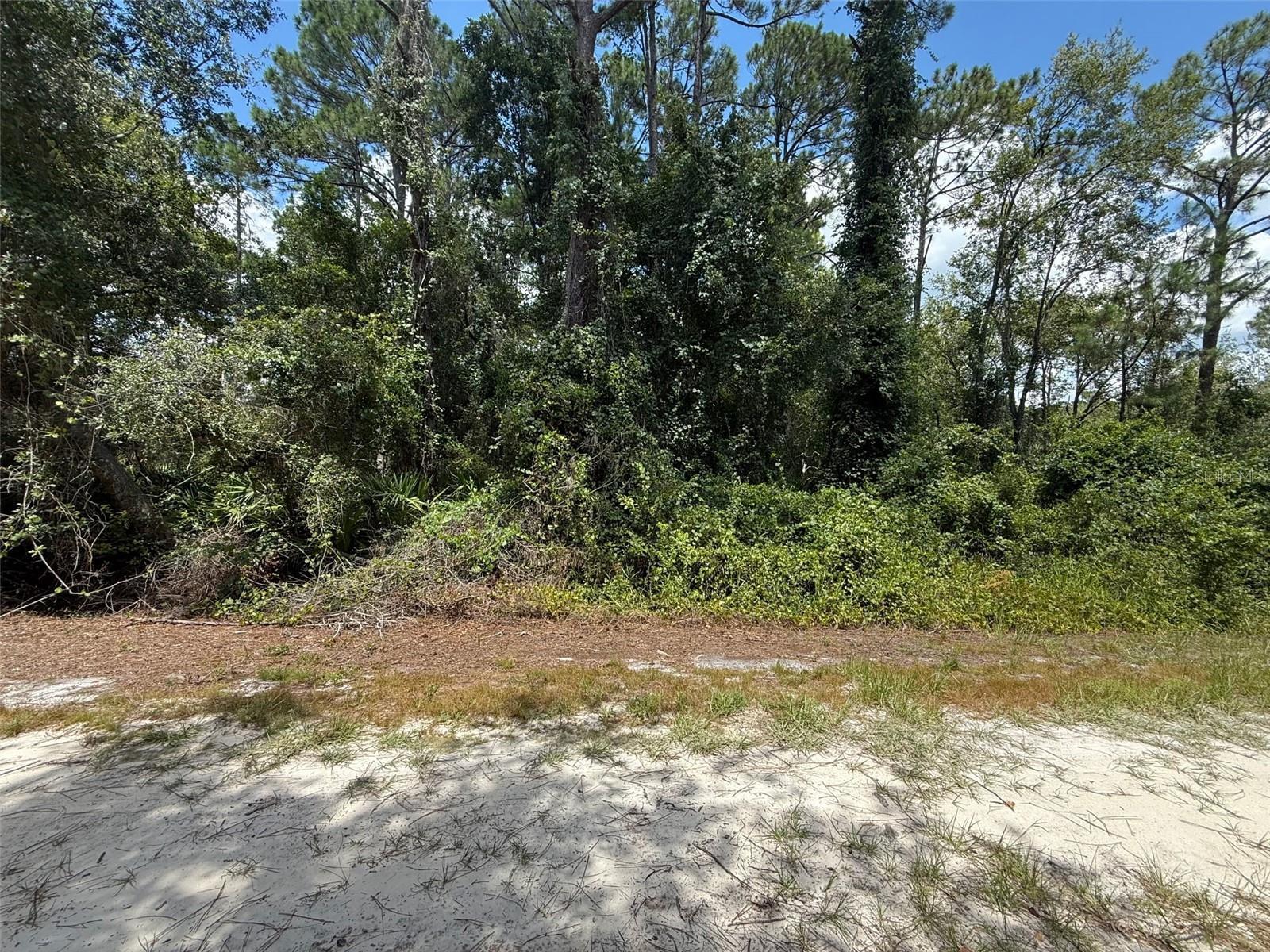 Photo of Listing #W7878210