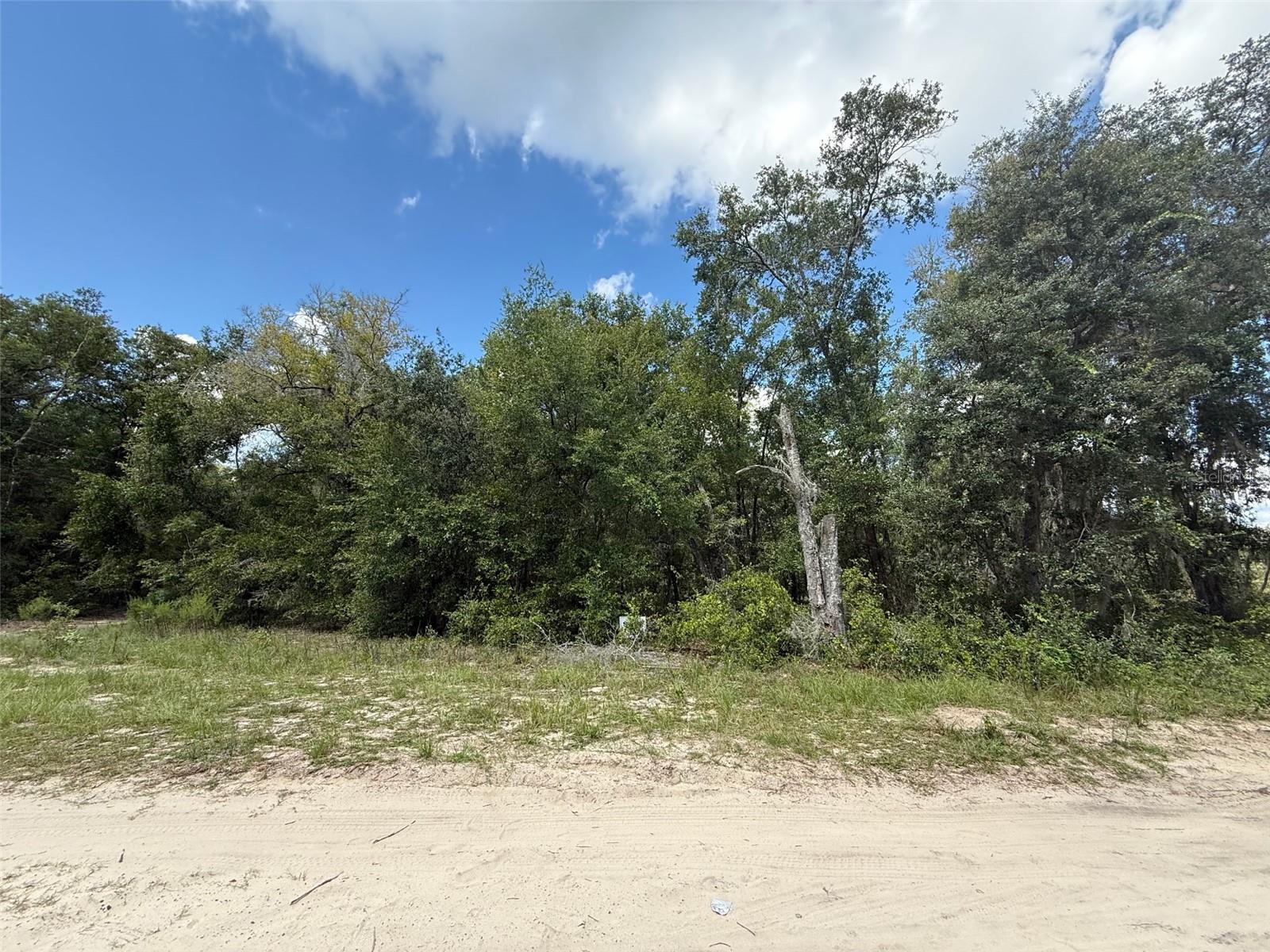 Photo of Listing #W7878211