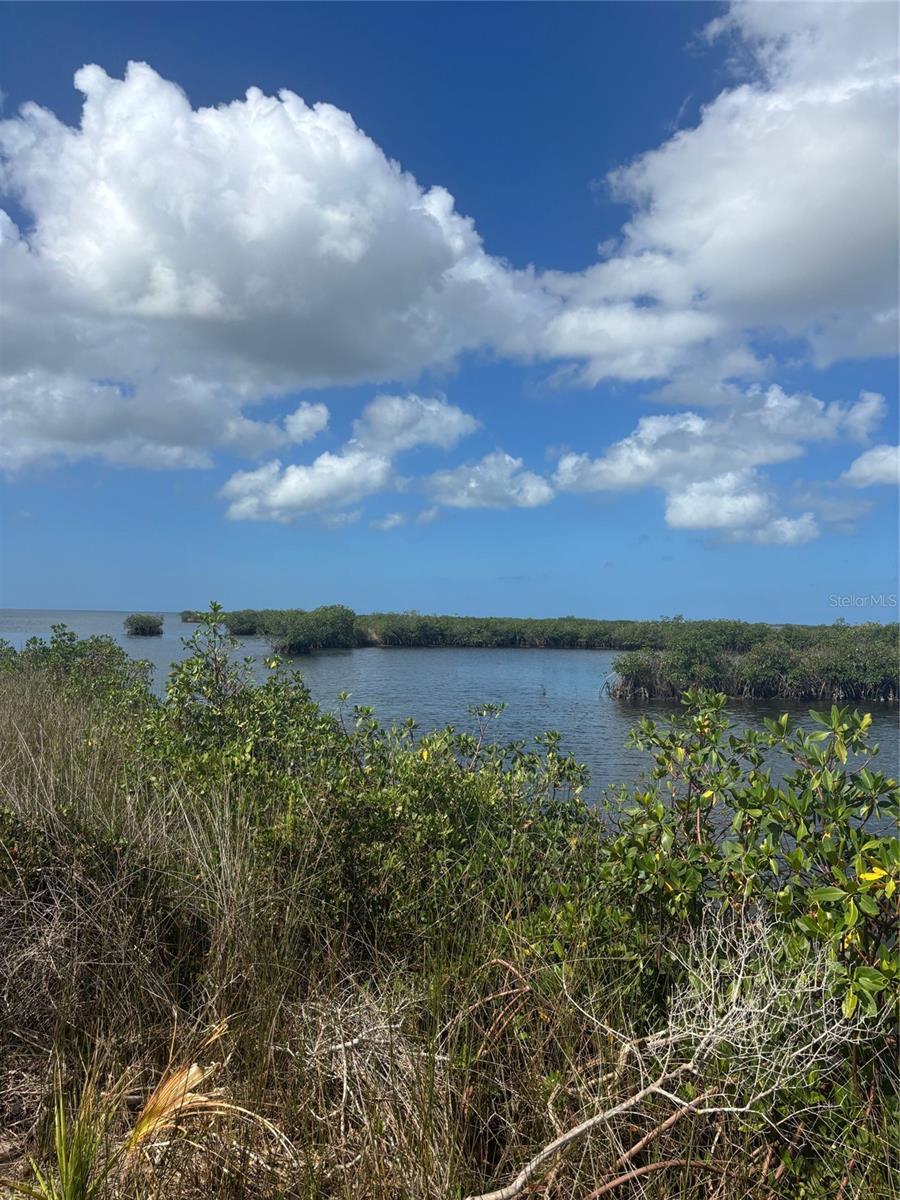 Photo of Listing #W7879735