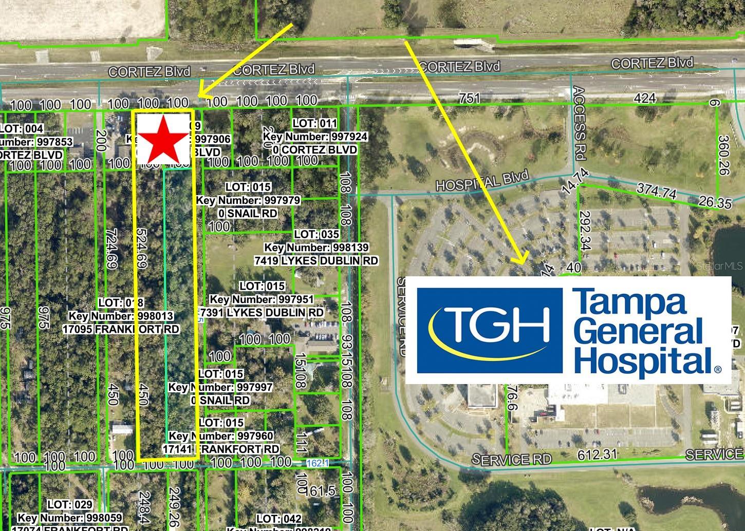 Photo of Listing #W7881508