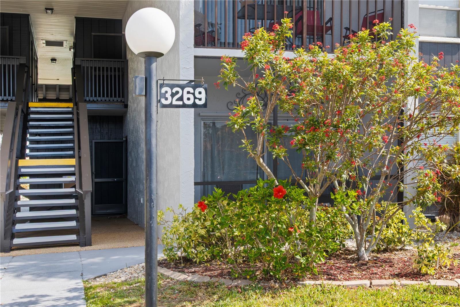 Photo of Listing #A4649750