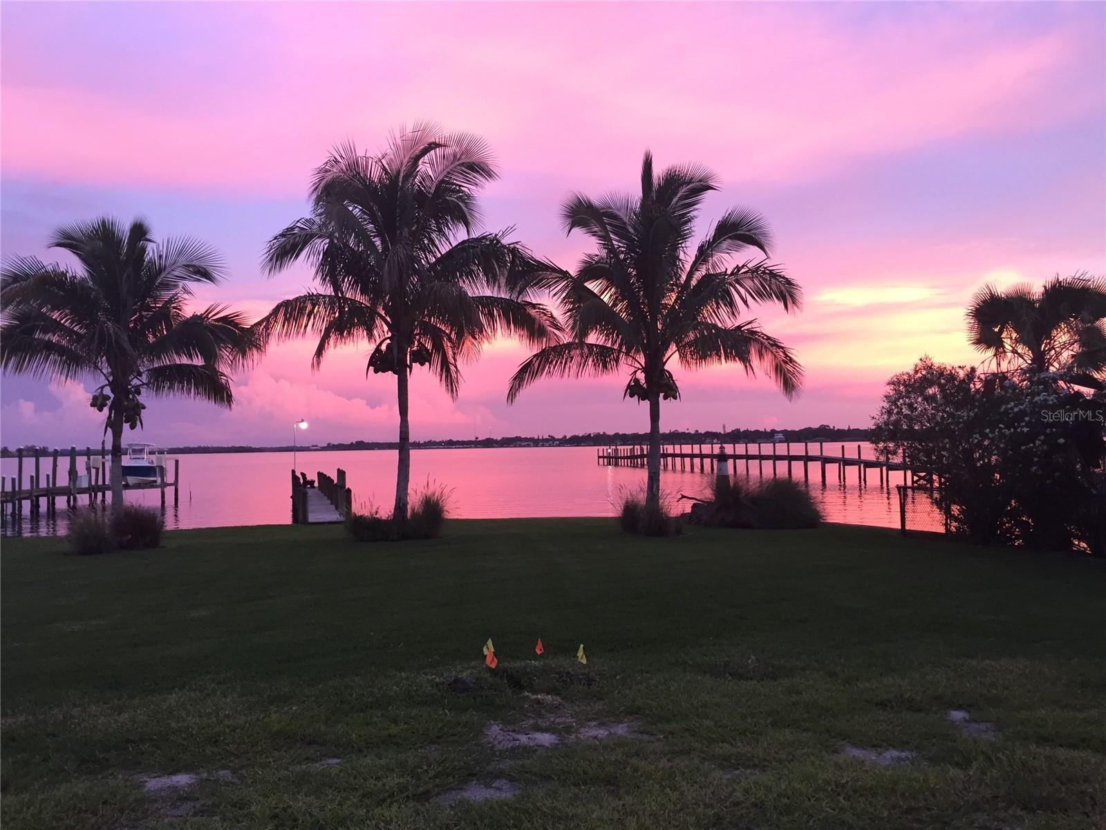 Photo of Listing #A4655797