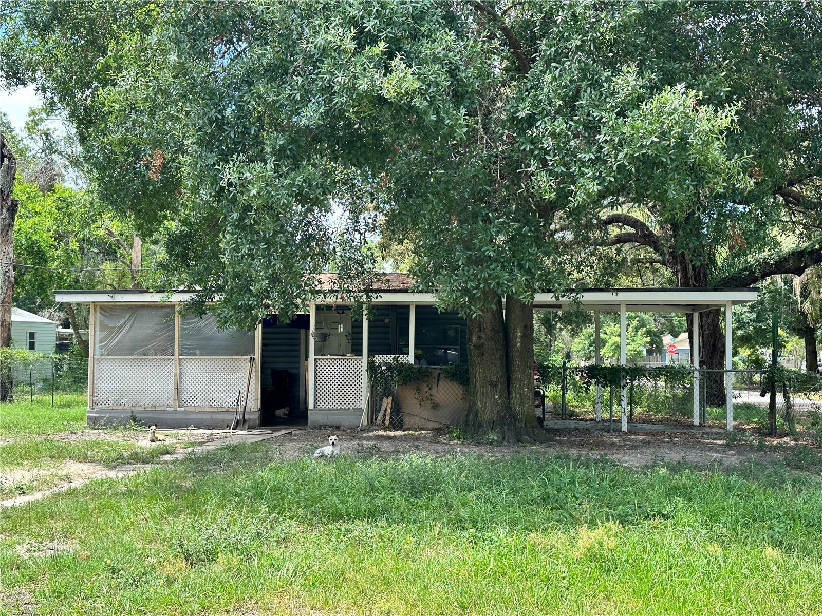 Photo of Listing #A4656676