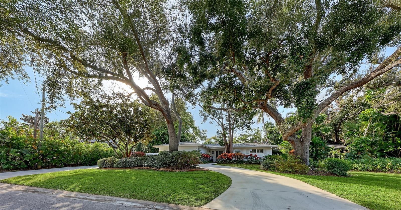 Photo of Listing #A4677896