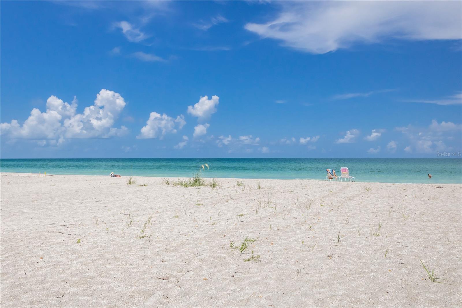 Photo of Listing #D6145924