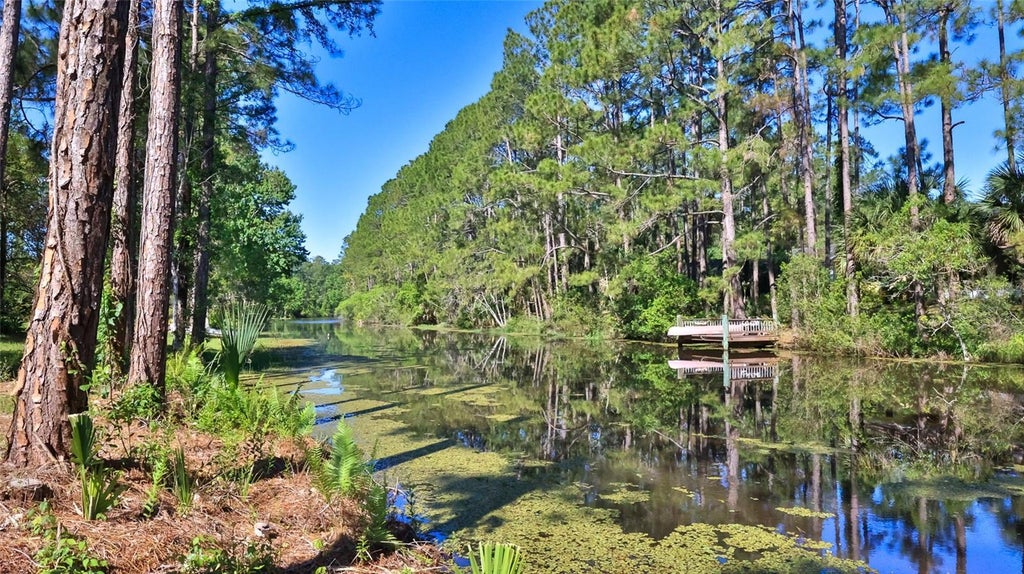 64 Whittington Drive, PALM COAST