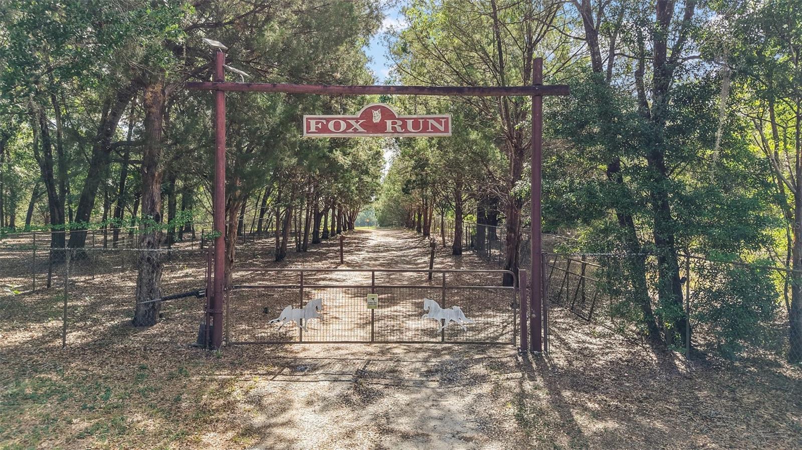 Photo of Listing #G5096544