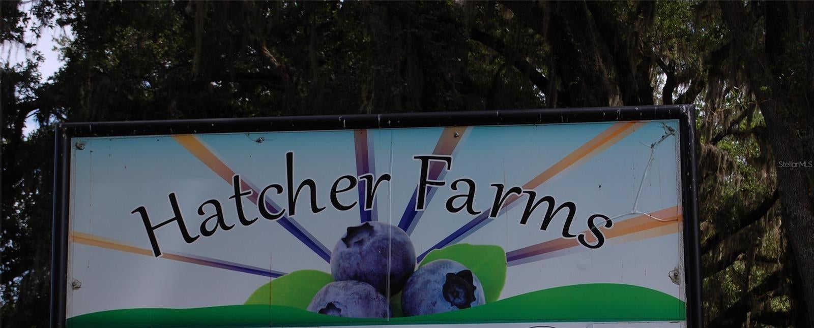 Photo of Listing #GC532953