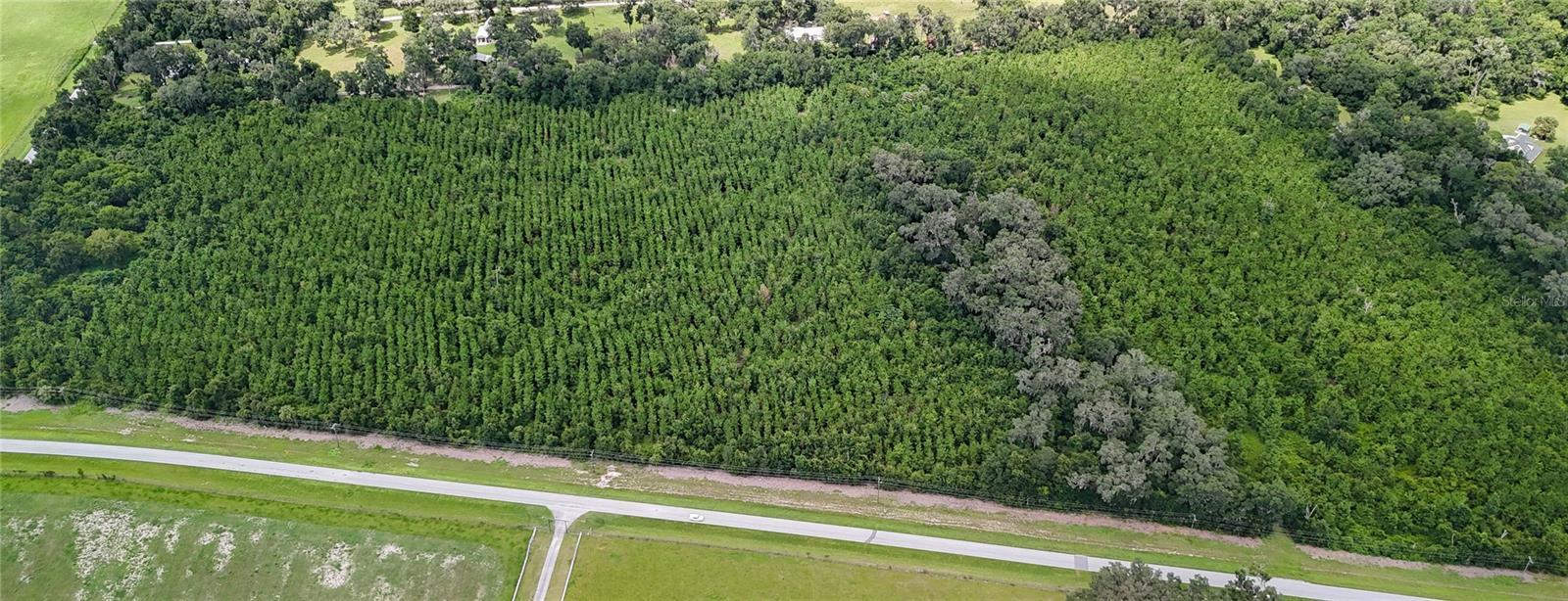 Photo of Listing #GC535024