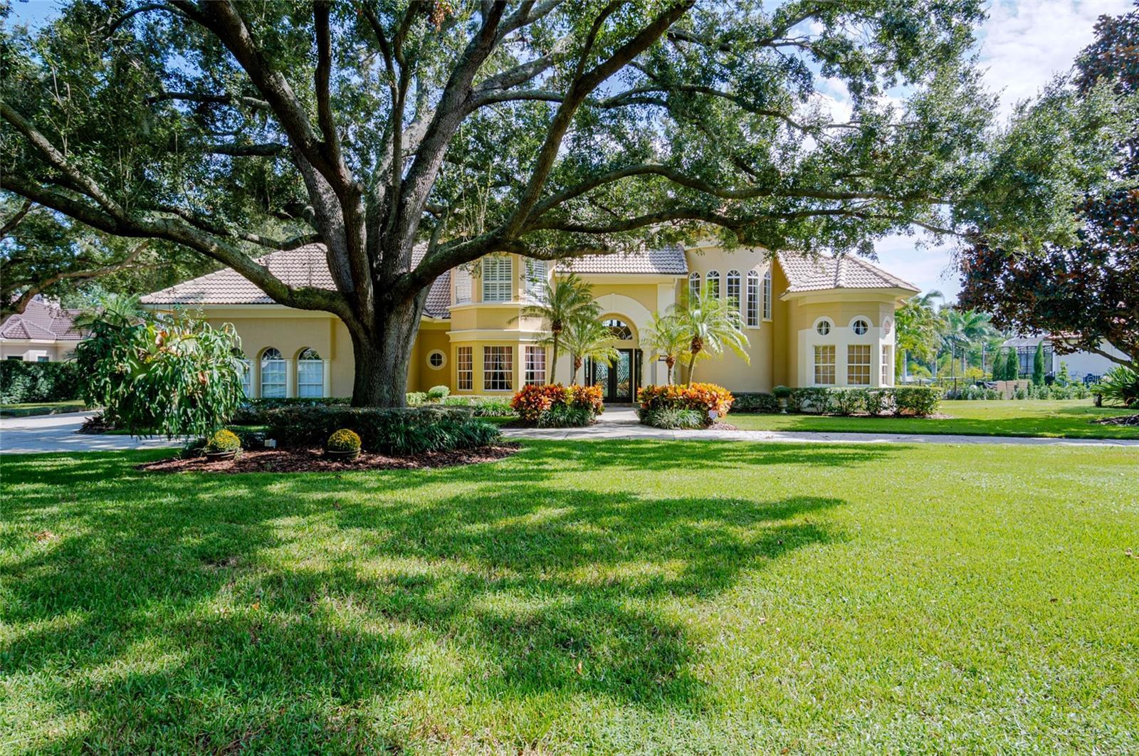 Photo of Listing #O6350408