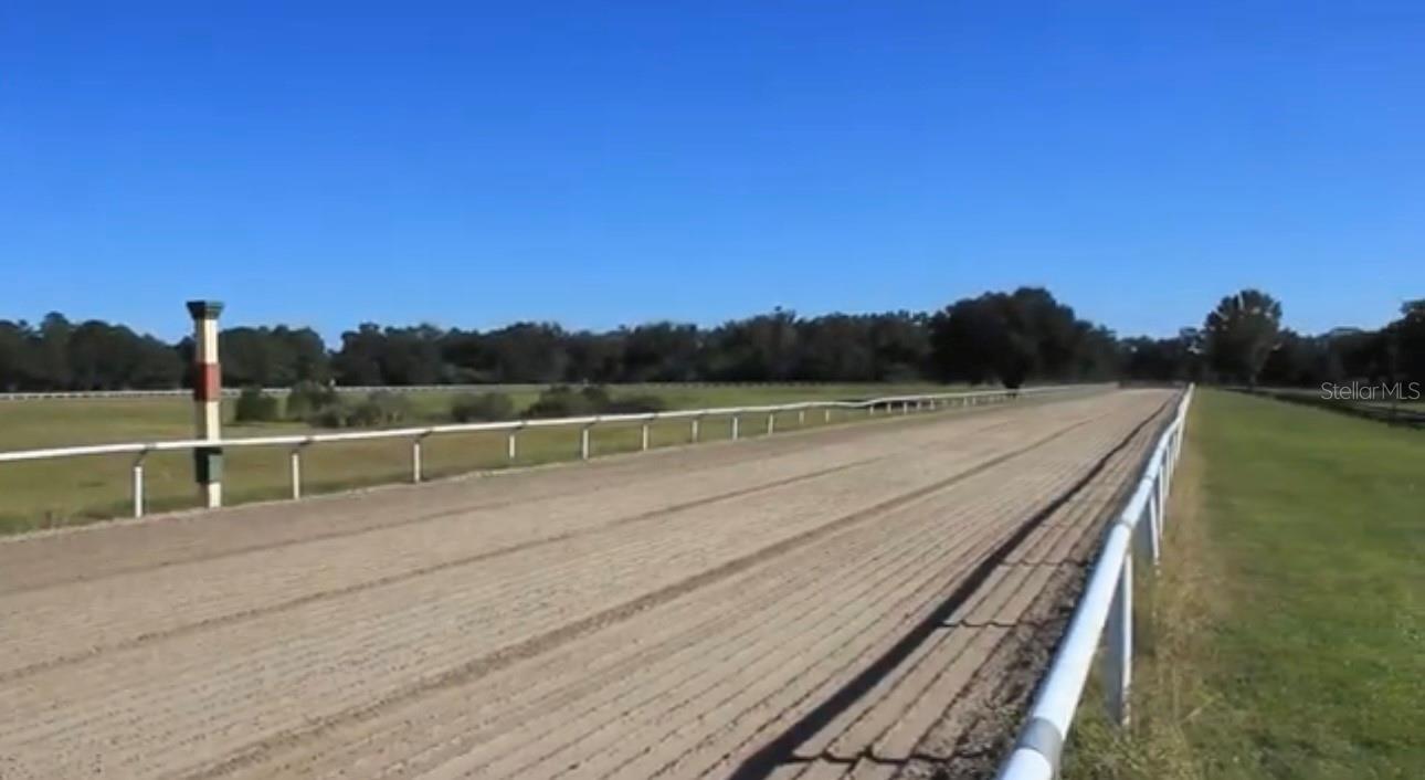 Photo of Listing #O6364015