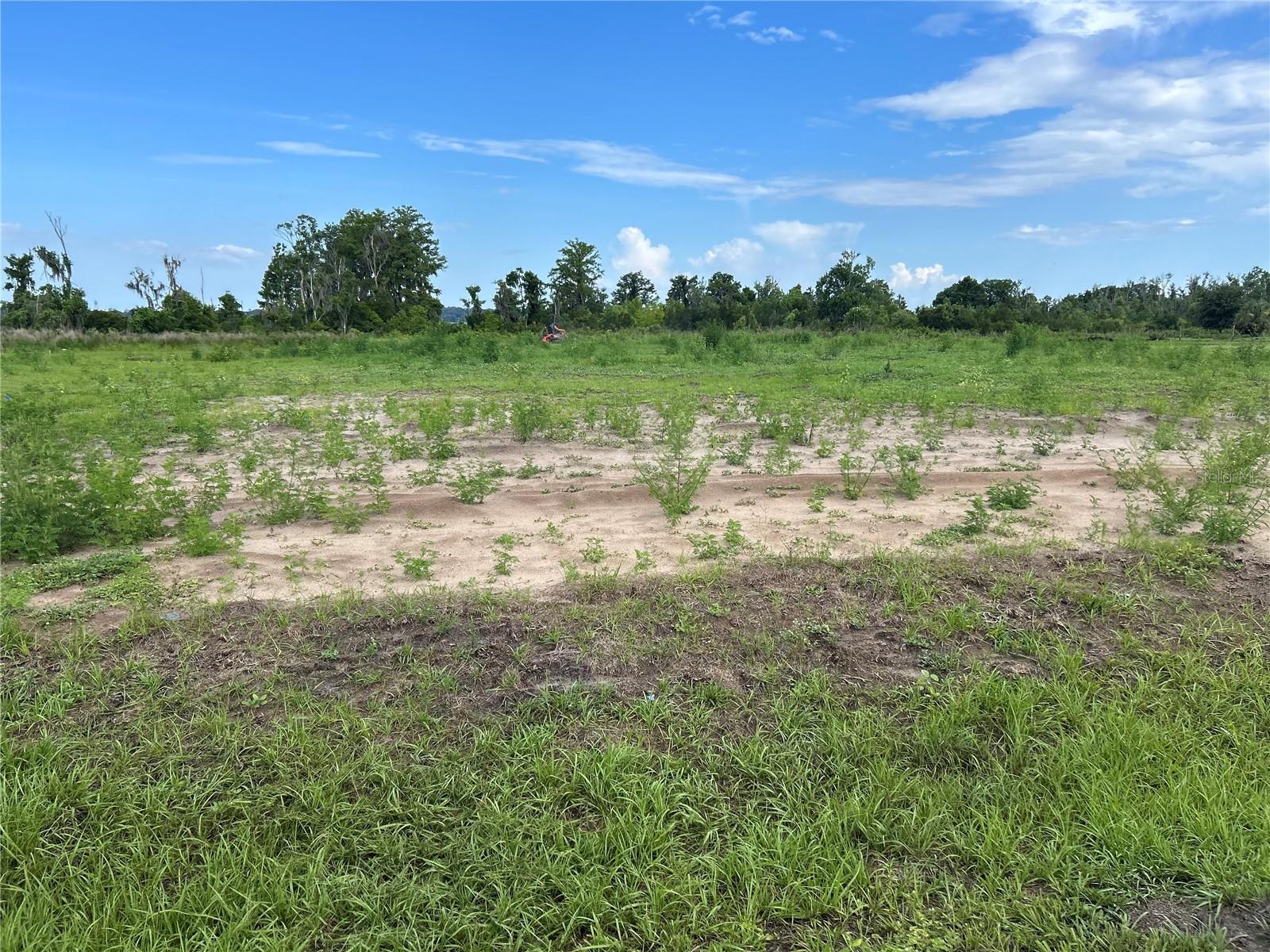 Photo of Listing #O6368290