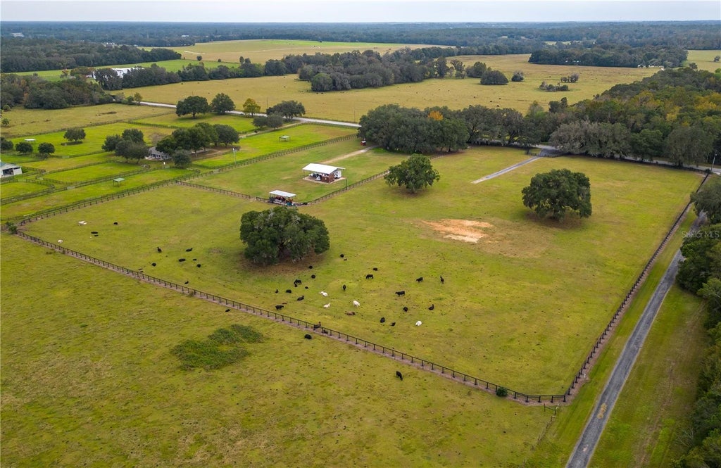 6677 West Highway 318, REDDICK FL REDDICK Log Cabin Homes For Sale