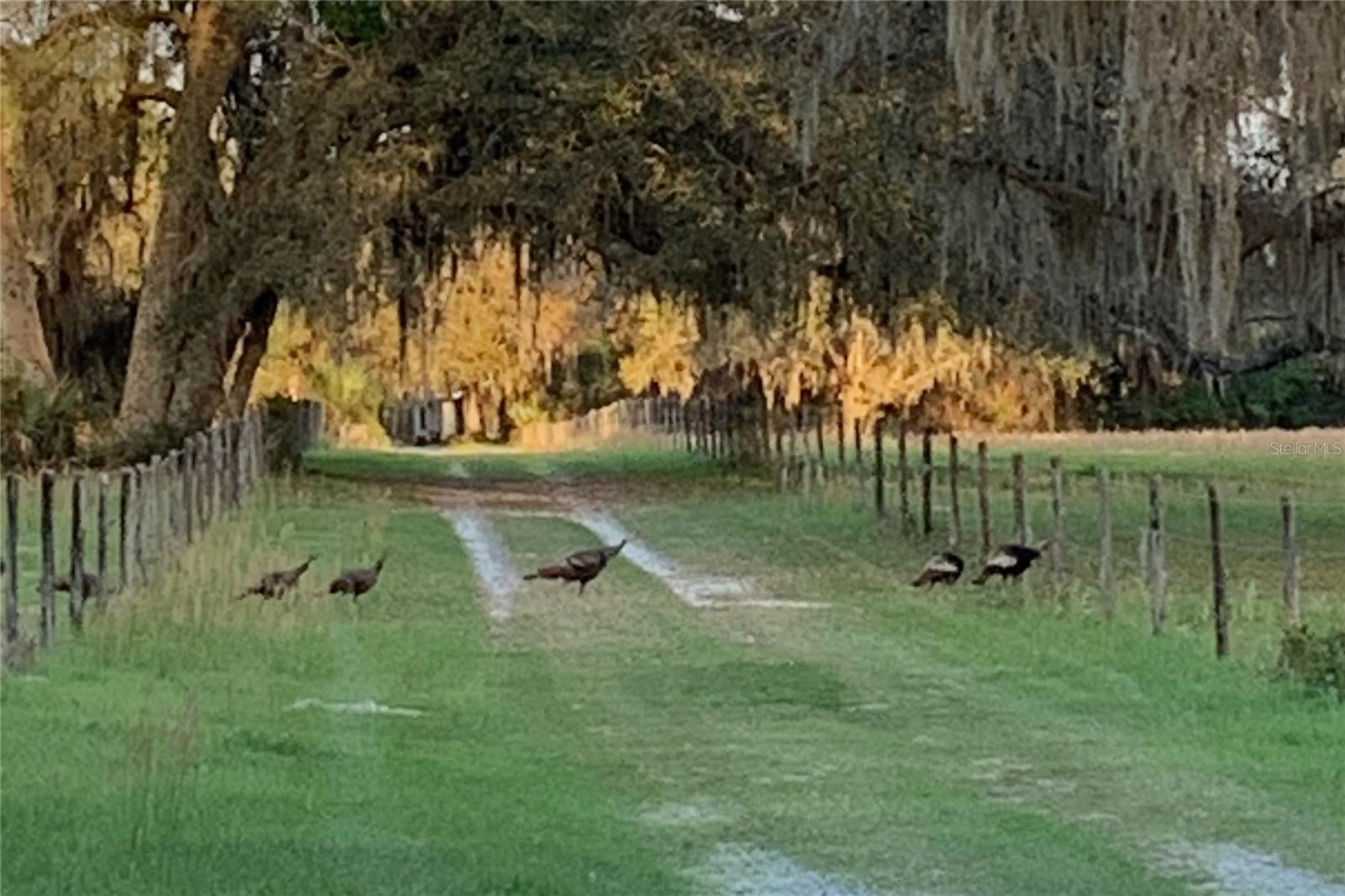 Photo of Listing #OM703128