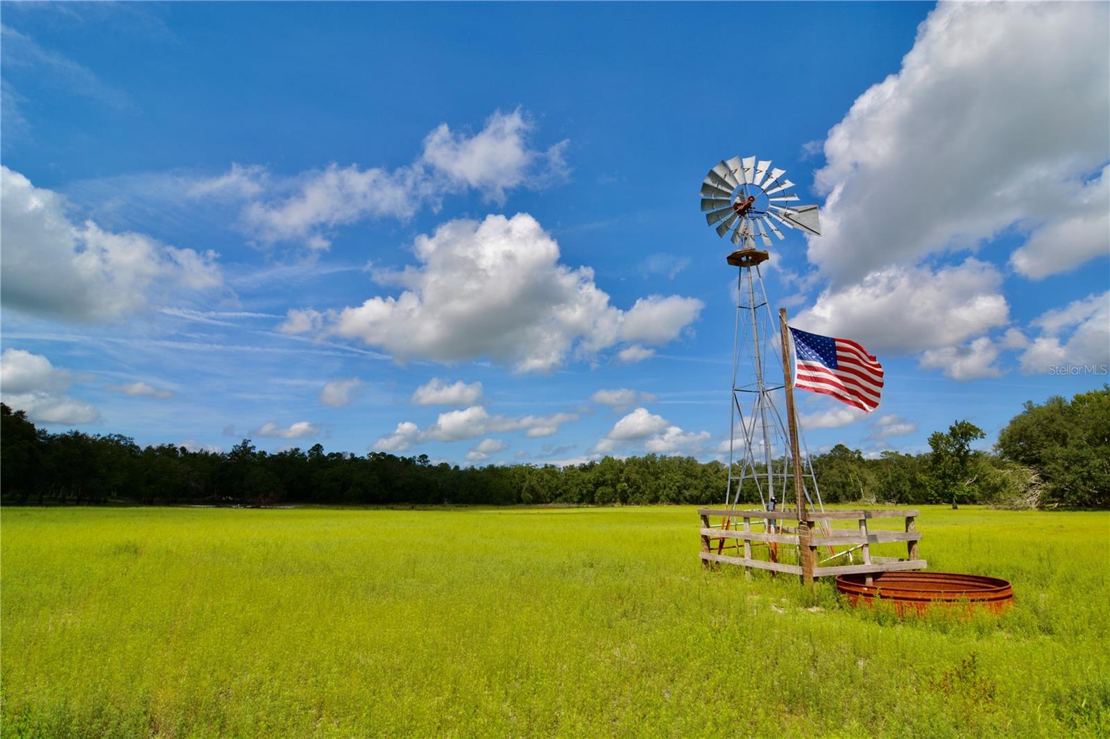 Photo of Listing #OM706649