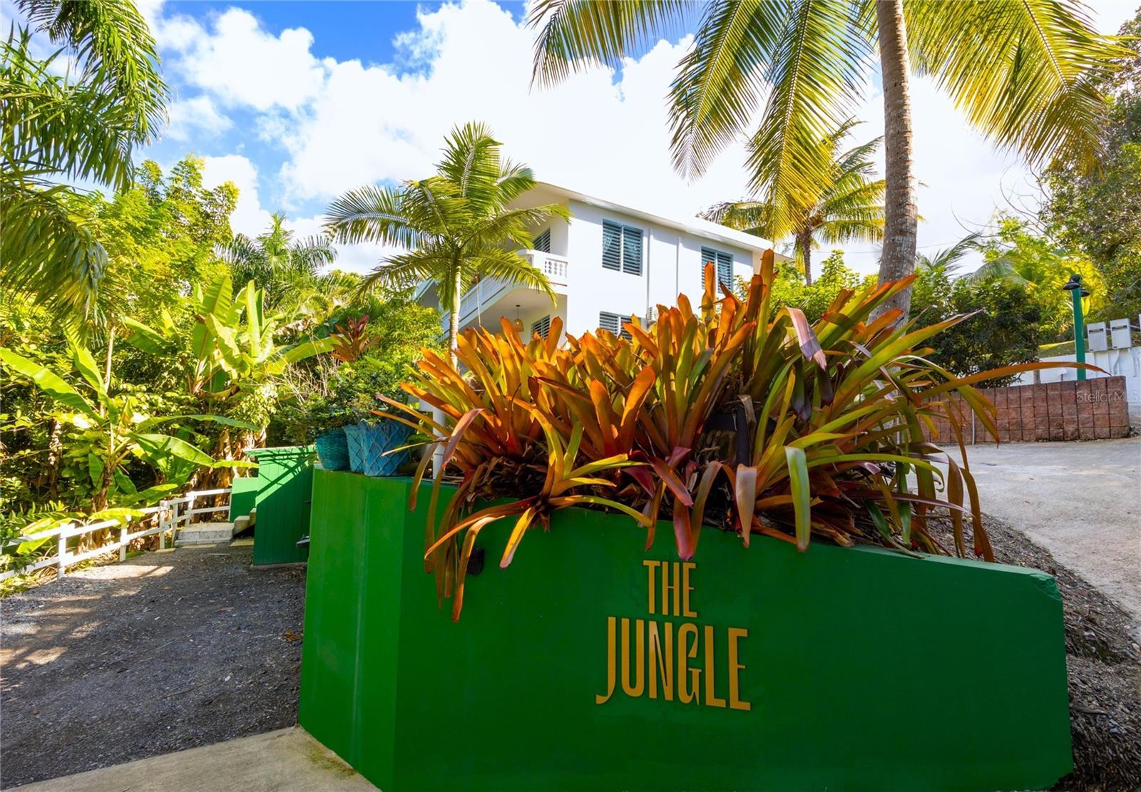 Photo of Listing #PR9117234