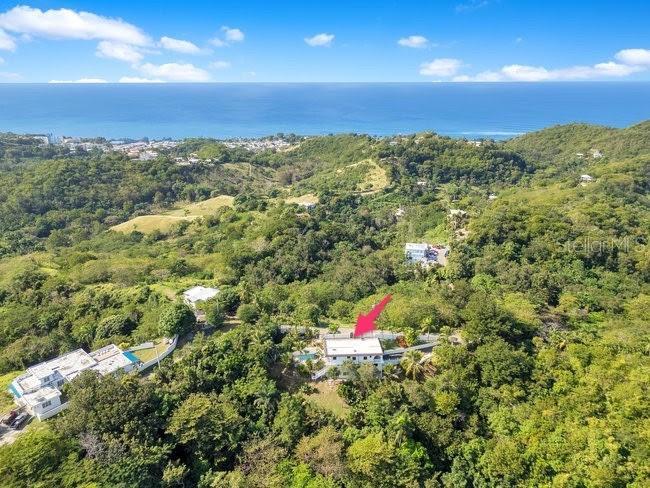 Photo of Listing #PR9117494