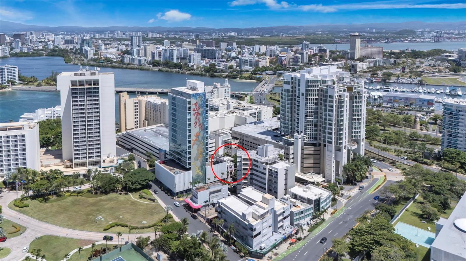 Photo of Listing #PR9117821